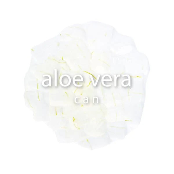 Canned Aloe Vera in Syrup - (3.1 Kg/Can)